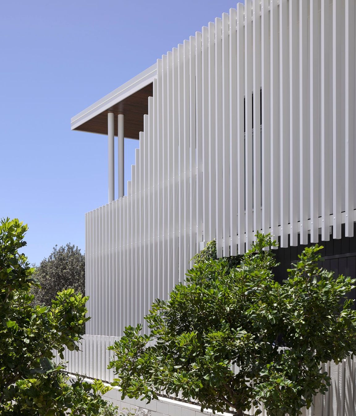 Whale Residence