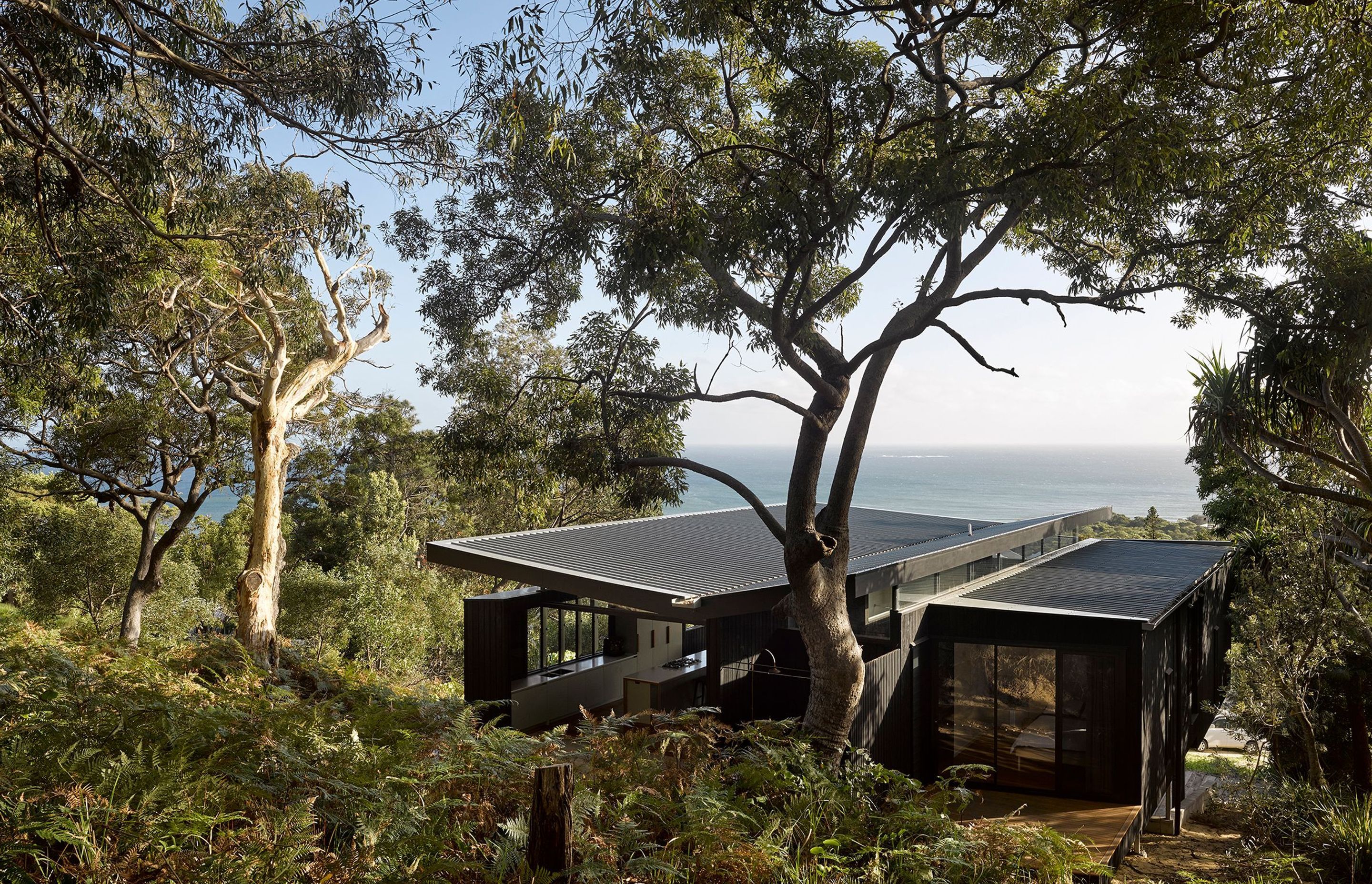 Infuenced by local campsites – where cooking, gathering and sleeping zones are united under a large tarpaulin – Baker Boys Beach House incorporates essential functionality in a compact footprint.The elegant butterfly roof acts as the ‘tarp’, emphasising t
