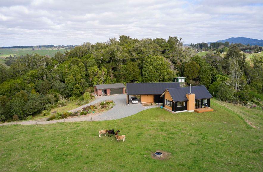 Te Ngahere a Kataraina - Kathy's forest house