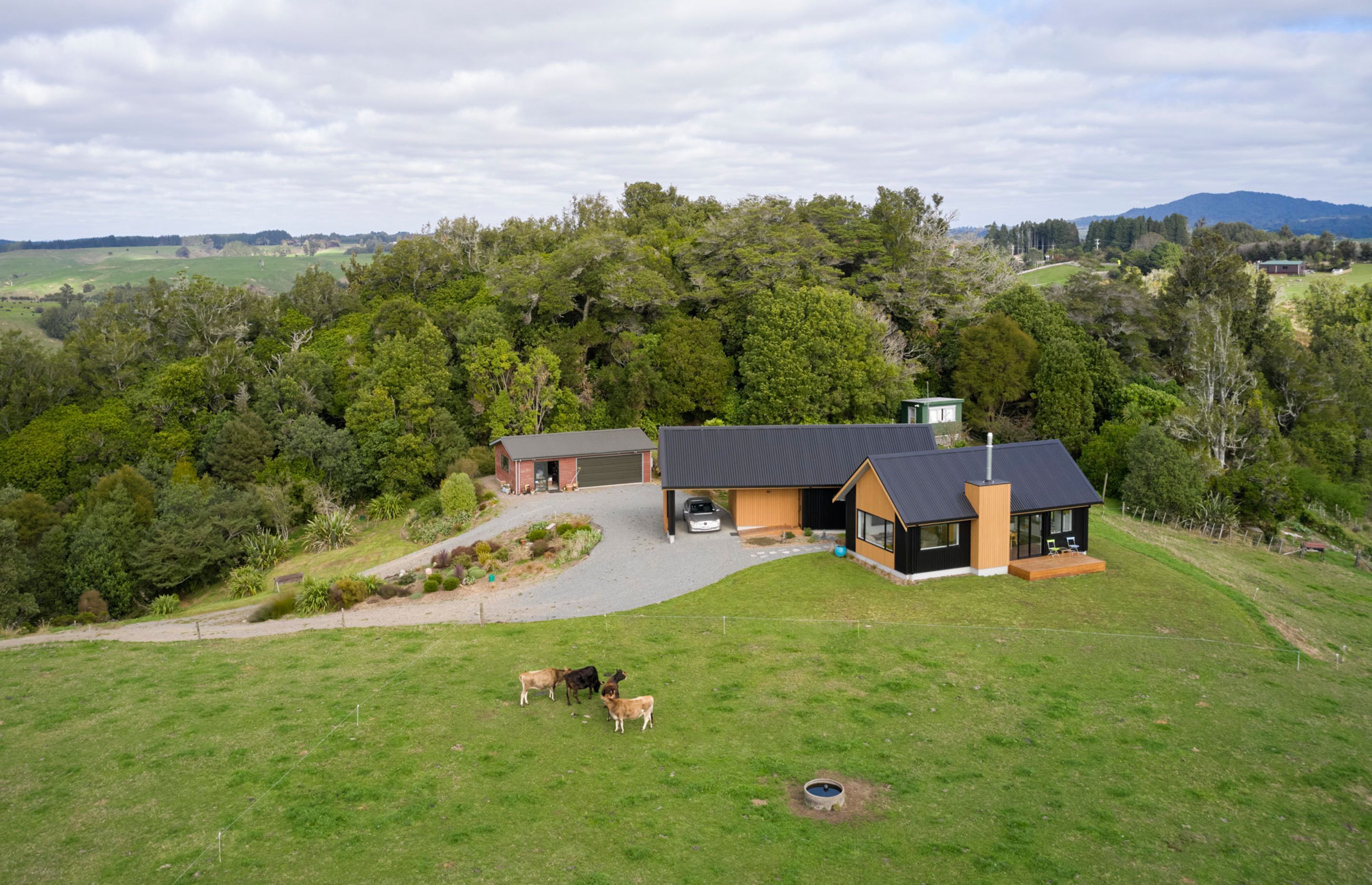 Te Ngahere a Kataraina - Kathy's forest house