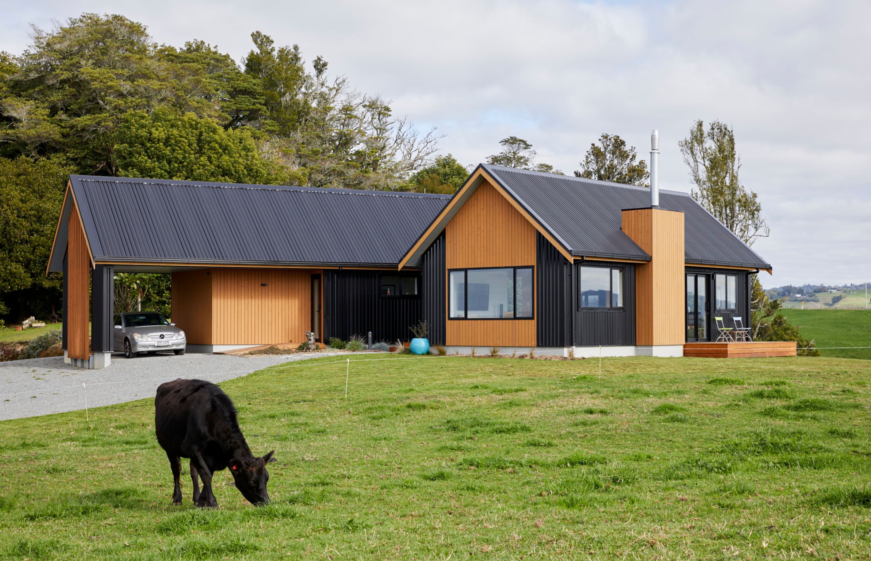 Te Ngahere a Kataraina - Kathy's forest house