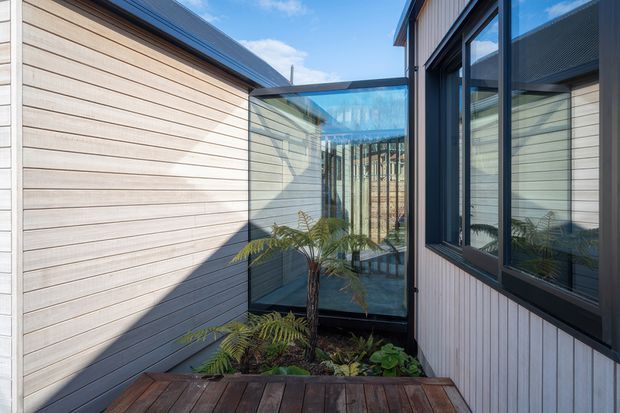 A narrow, sunlit courtyard or deck passage between two contemporary building volumes. The walls are clad in pale horizontal timber weatherboards with dark window and door frames, and a full-height glazed corner reflects the surrounding architecture. A small planted garden bed with palms sits beside a dark timber deck, creating a private indoor-outdoor connection.