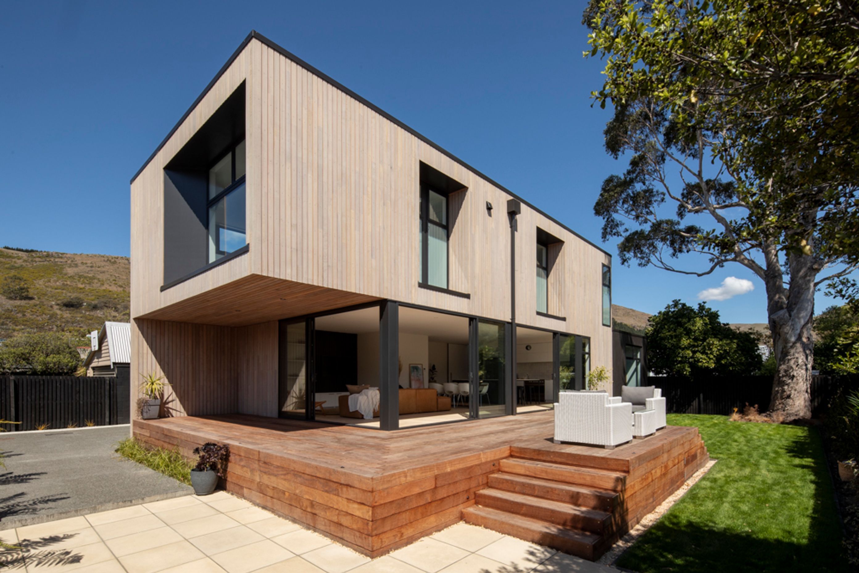 Large protected tree became the feature of the beech house