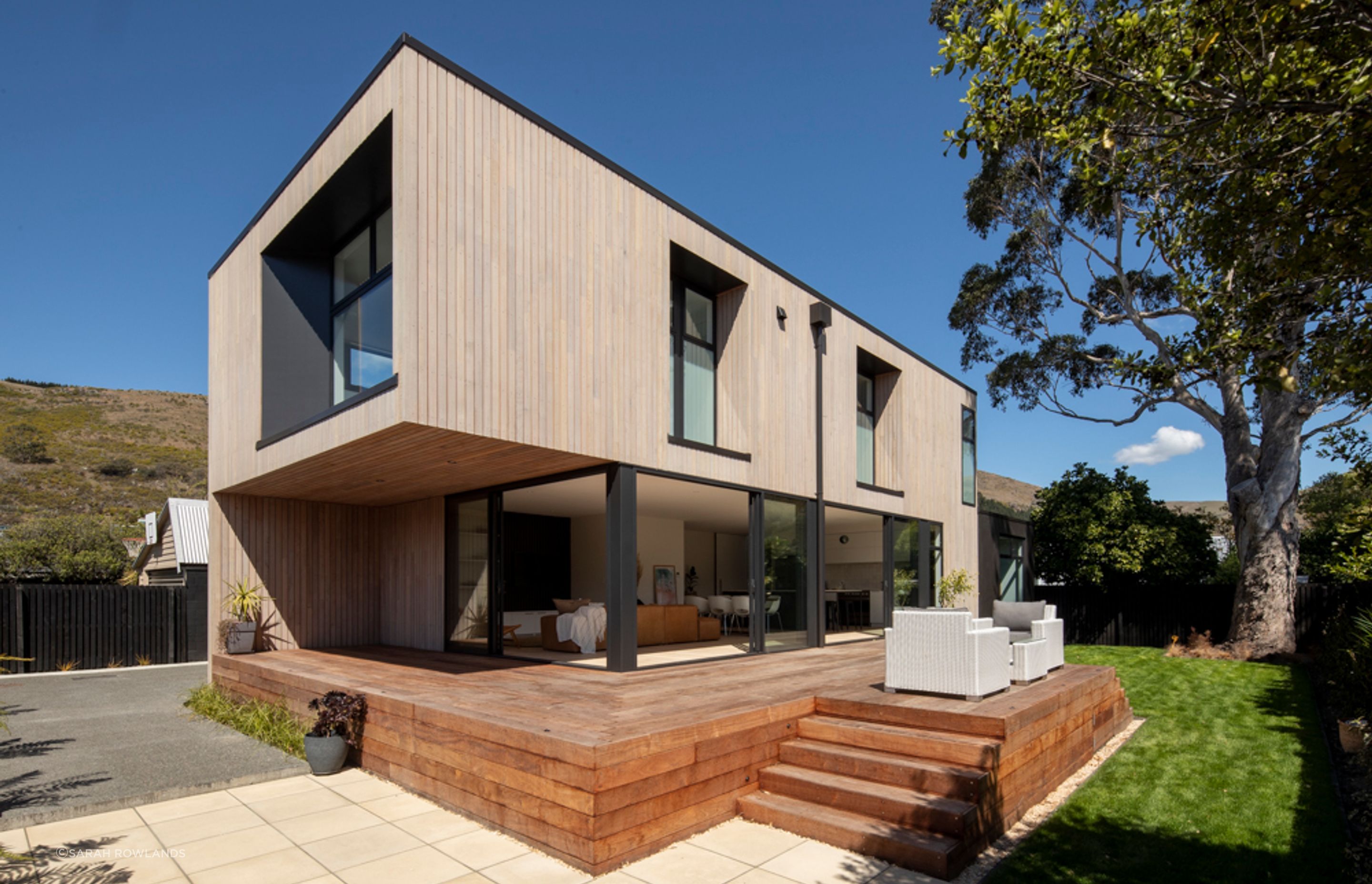 Large protected tree became the feature of the beech house