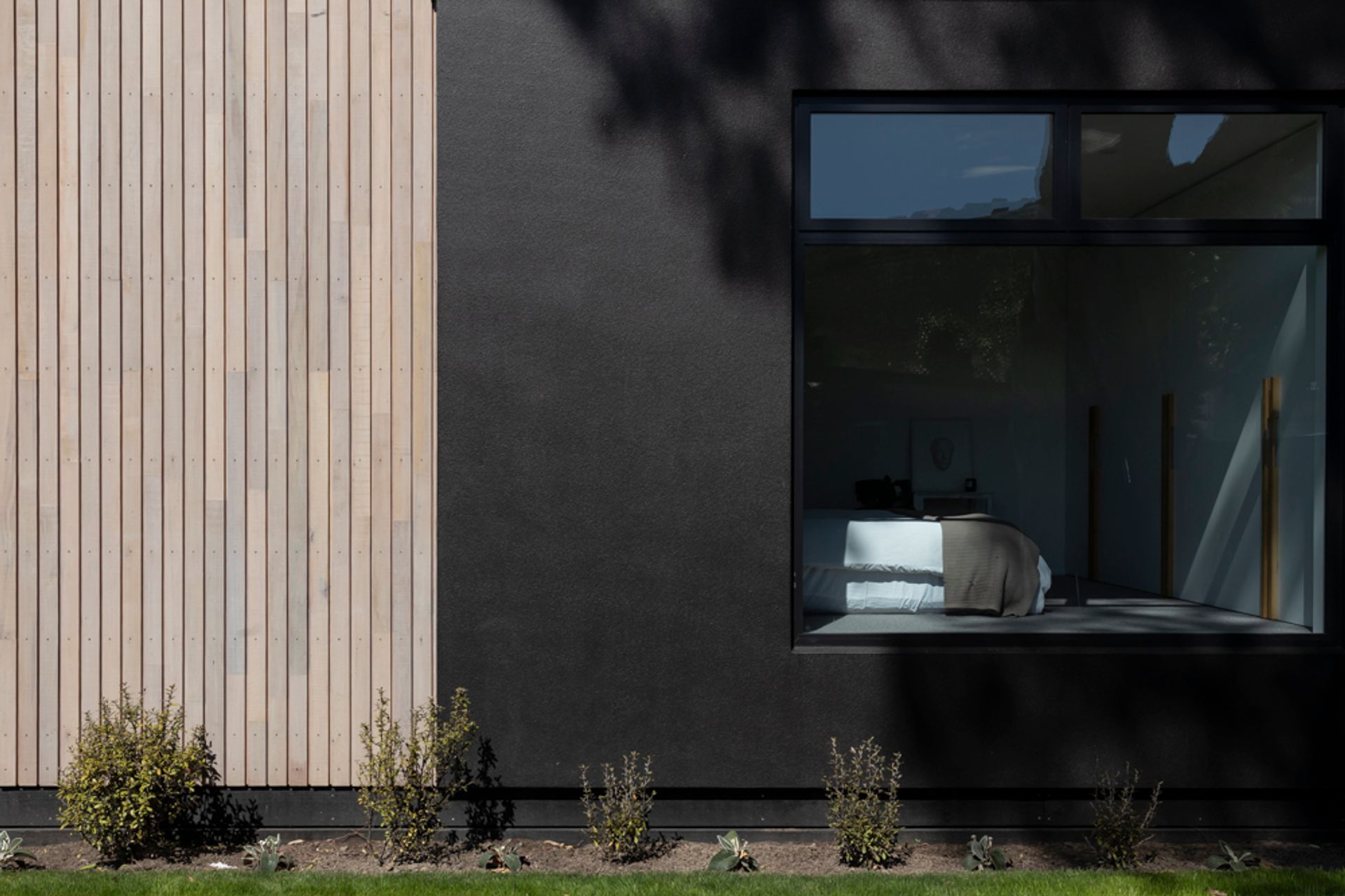 Beech and Flaxpod Rockcote