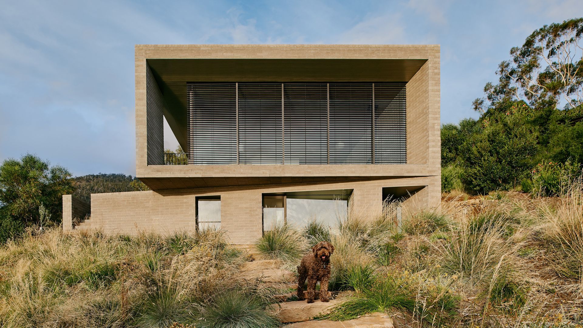 House at Otago Bay by Topology Studio with Shade Factor video