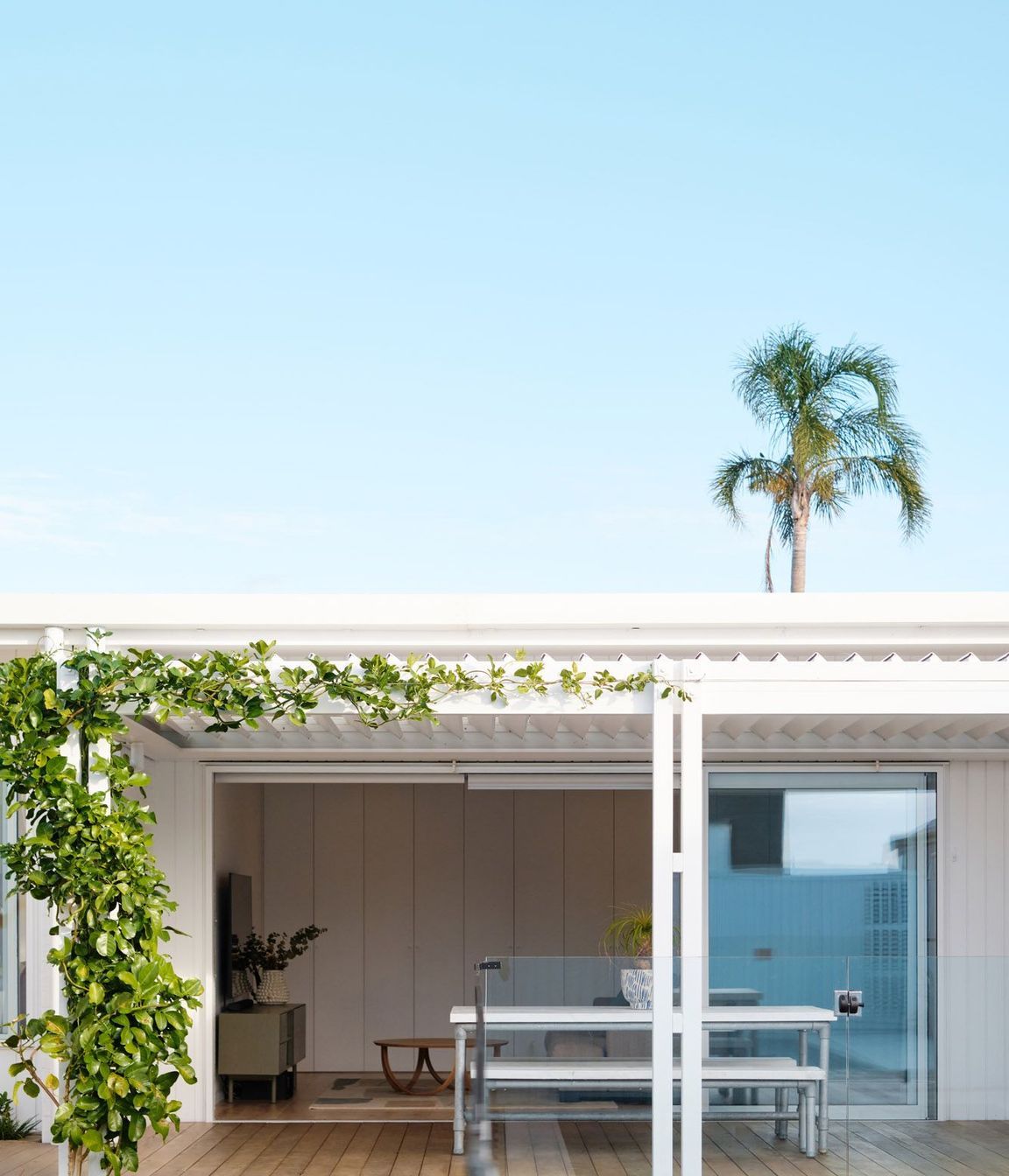 Toronia Court, Papamoa