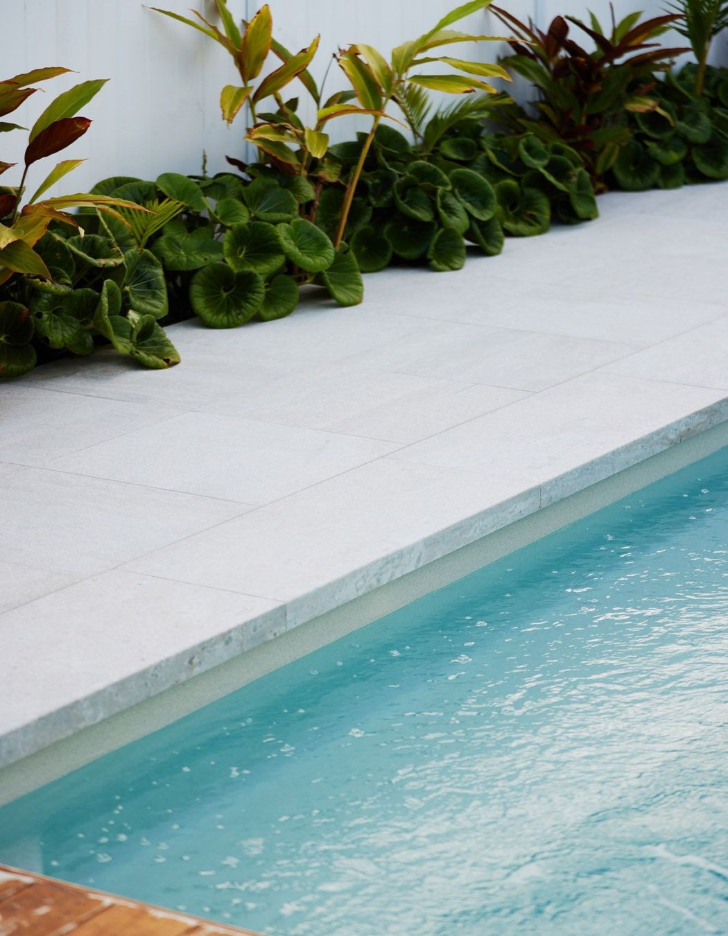Toronia Court, Papamoa