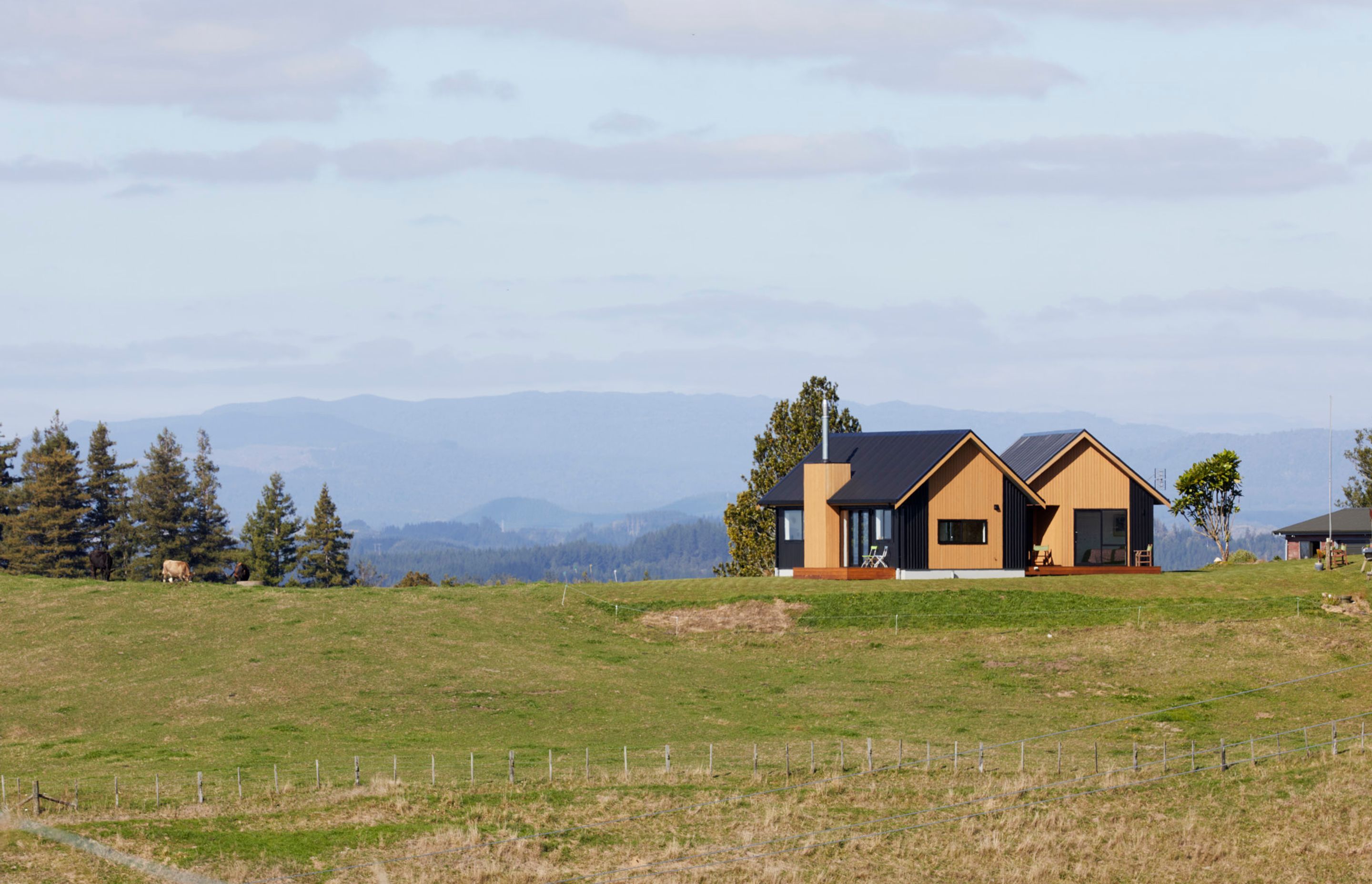 Te Ngahere a Kataraina - Kathy's forest house