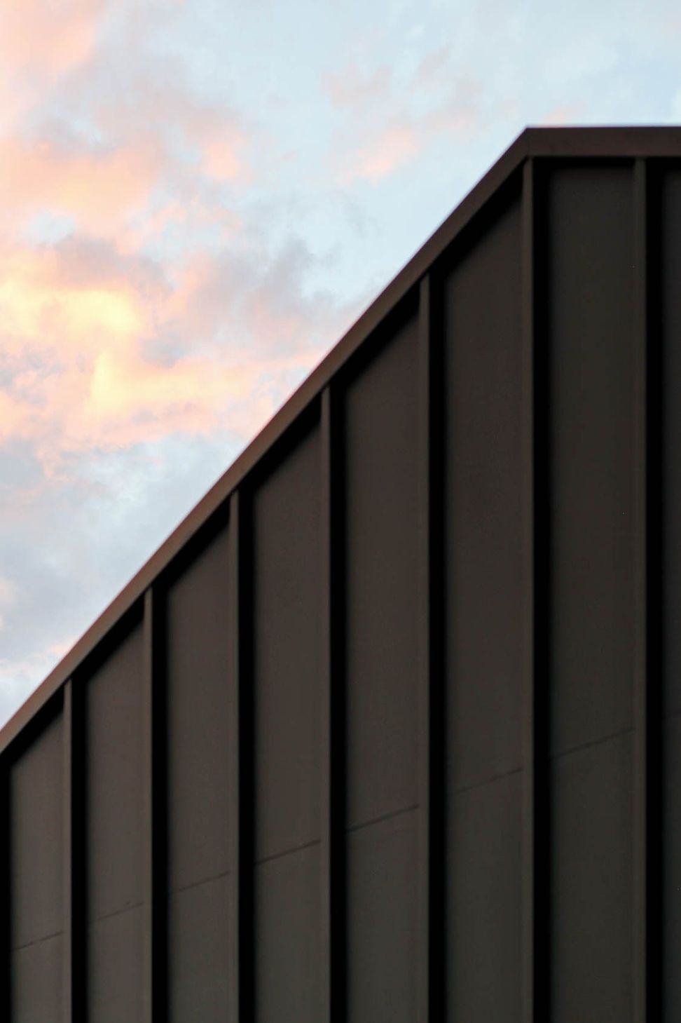 Anderson Residence - Exterior. Dark standing seam cladding meeting the sky.