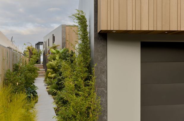 A narrow landscaped side passage beside a contemporary residential building. The concrete walkway is bordered by dense ornamental planting and a timber privacy fence, leading toward modern box-like volumes clad in vertical timber and pale rendered or concrete finishes. A dark sectional garage door is visible beneath a projecting timber-clad upper facade.