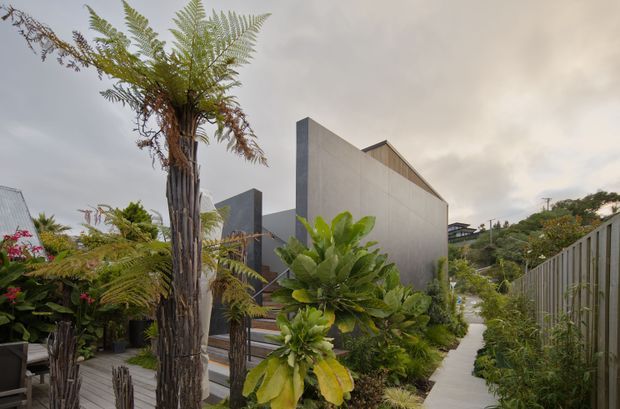 A landscaped residential exterior viewed from a narrow concrete walkway. The contemporary home has strong angular forms, tall smooth grey wall planes, dark framed glazing, and a partially visible pitched roof with timber cladding. Dense subtropical planting, tree ferns, and raised timber decking soften the architecture, while a vertical slatted fence lines the right side.