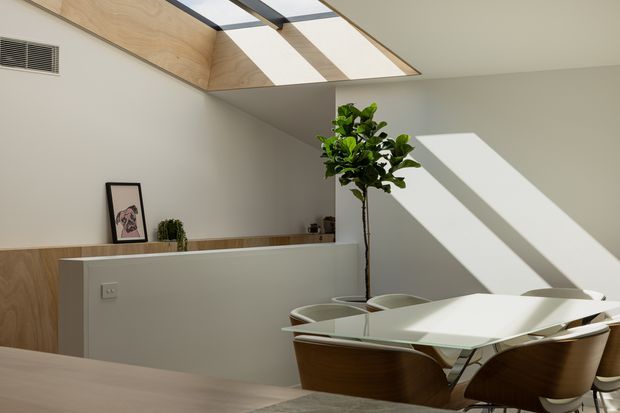 Bright contemporary dining area with a white angular dining table and curved dark timber chairs. A half-height partition and built-in timber wall panel create separation from the adjacent space, while a large skylight brings strong geometric sunlight into the room. A potted indoor tree and framed artwork add warmth.