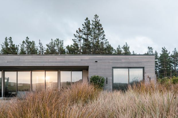 A low, single-storey contemporary house set within tall ornamental grasses and a pine-covered landscape. The facade is clad in horizontal grey timber boards, with extensive floor-to-ceiling glazing on the left and a large dark-framed window on the right. The flat roof and minimal rectangular form create a calm, understated exterior composition.