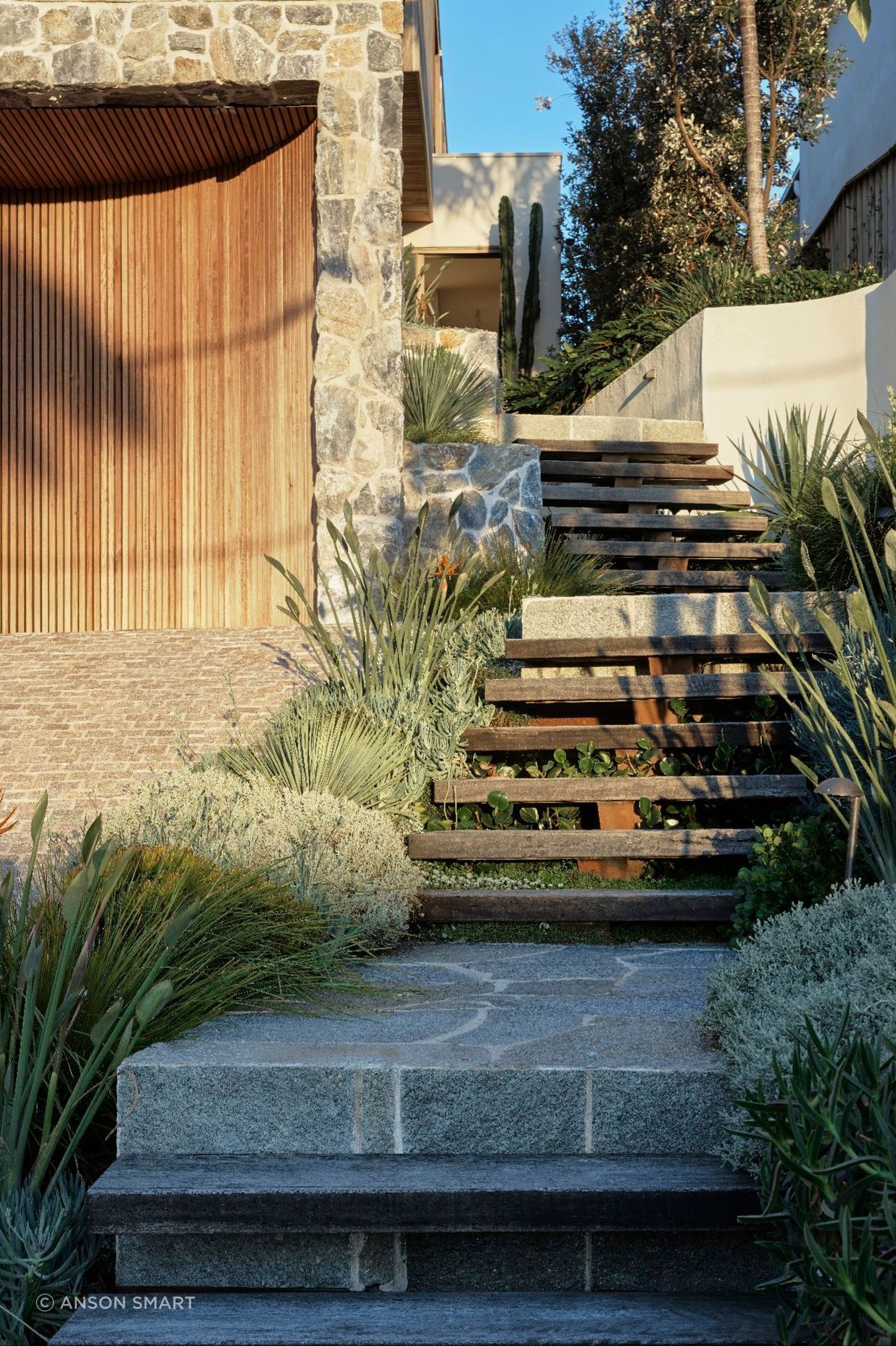 CadenceCoBalgowlah090323272984-gigapixel-standard-v2-03x.jpeg