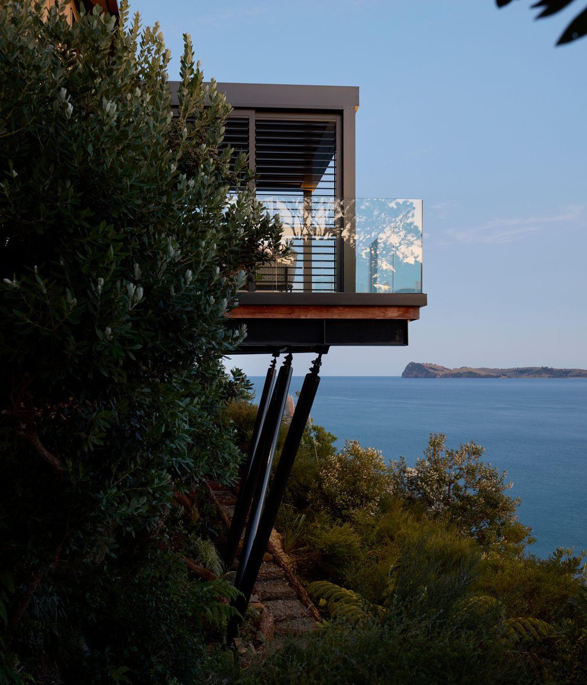 Cliff-Hanger-Cat-01-0972dpi.jpg