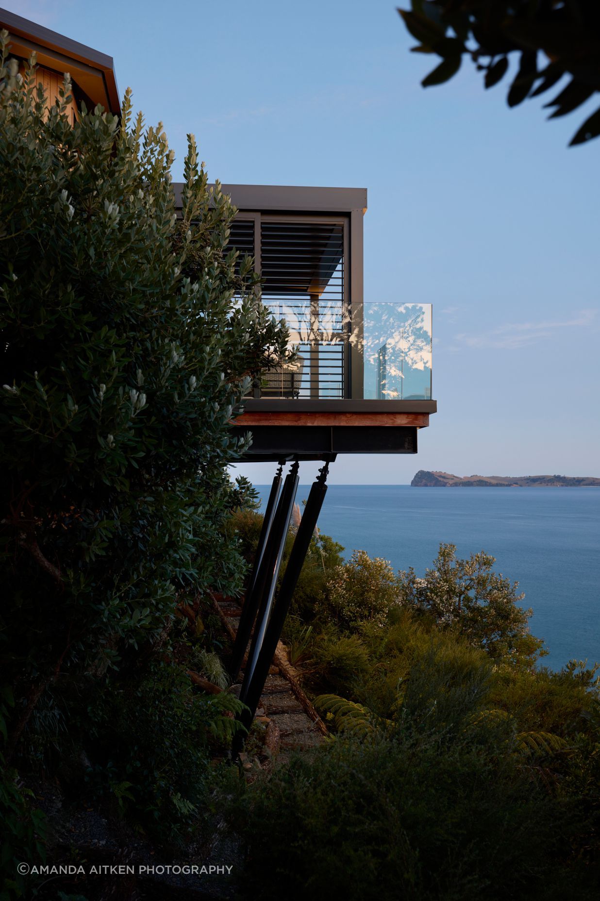 Cliff-Hanger-Cat-01-0972dpi.jpg