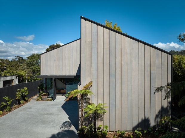 Exterior view of a contemporary, sharply angled house set within a landscaped suburban or bush setting. The building has a tall sloping roof form, a broad facade clad in vertically seamed light grey panels, dark window and door frames, and a concrete entry path leading to a recessed glazed entrance. Ferns and dense planting soften the minimalist geometric architecture.