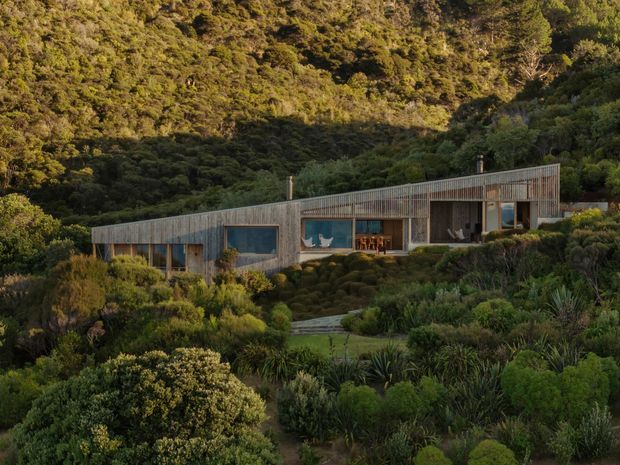 A low, elongated contemporary house set into a densely vegetated hillside. The building features extensive timber-toned vertical screening or cladding, broad glazed openings, a shallow pitched or nearly flat roofline, and an integrated covered outdoor area. Native-looking planting surrounds the structure, with a mountain bush landscape rising behind it.