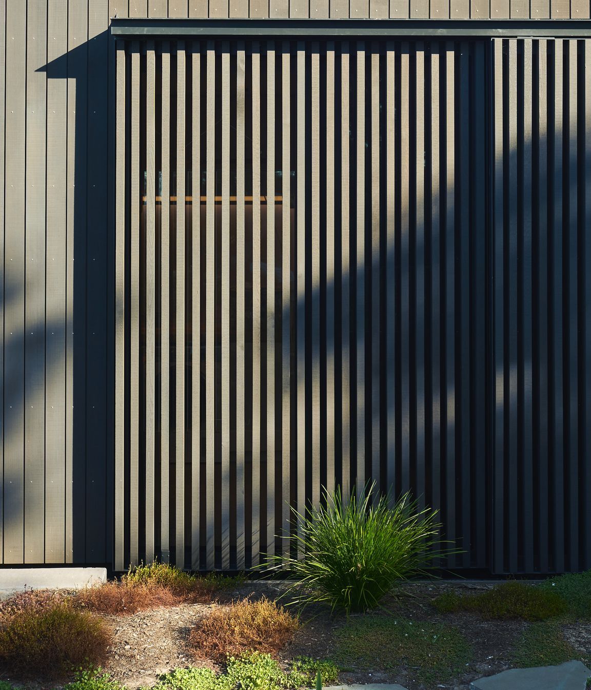 DSC9094-1.jpg