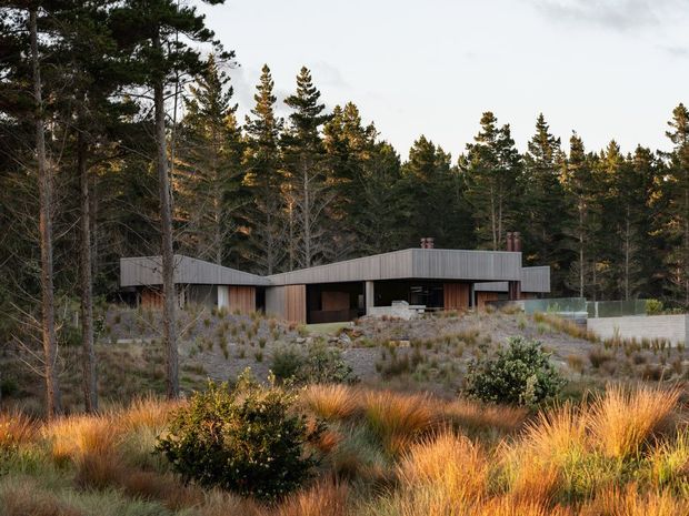 A low, single-storey contemporary house set within a dense forested landscape. The building has a long, horizontally composed form with dark walls, extensive glazing, vertical timber elements, and a shallow folded or pitched metal roof with projecting wings. Native grasses and shrubs surround the house, with a partially visible transparent boundary or pool enclosure to the right.