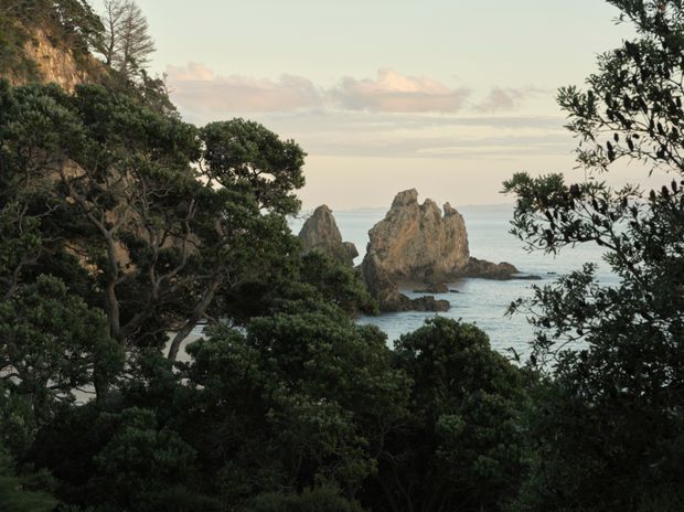 A tranquil coastal landscape viewed through dense native vegetation, with rugged rocky sea stacks rising from calm blue water and a softly lit sky beyond. No building or designed architectural space is visible.