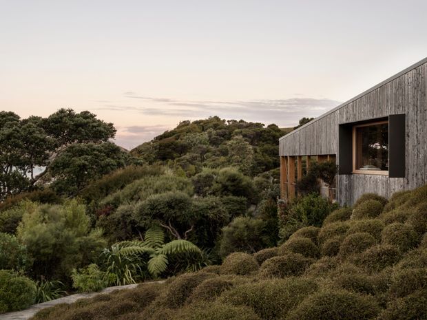 Exterior view of a contemporary timber-clad house nestled into dense native vegetation on a sloping, bush-covered site. The building has a simple low-pitched roofline, weathered vertical timber cladding, deep window reveals, and a partially visible timber post structure. The landscape dominates the scene, with mature trees, shrubs, and ferns surrounding the dwelling under soft evening light.