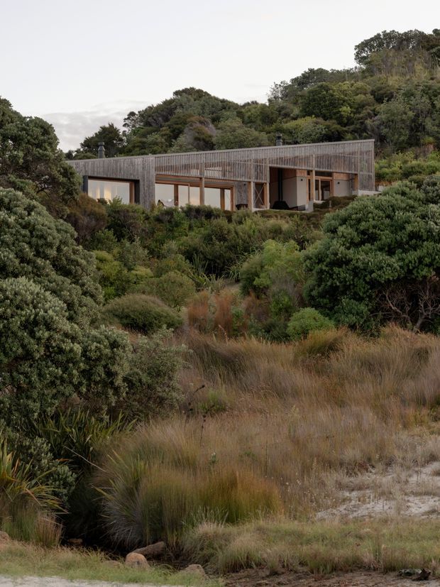 A low, modern timber-clad house nestled into dense native coastal vegetation on a sloping site. The long single-storey structure features extensive glazing, warm timber-framed windows, and a prominent screened or slatted timber facade beneath a flat roofline. The foreground is dominated by grasses, shrubs, and sandy terrain.