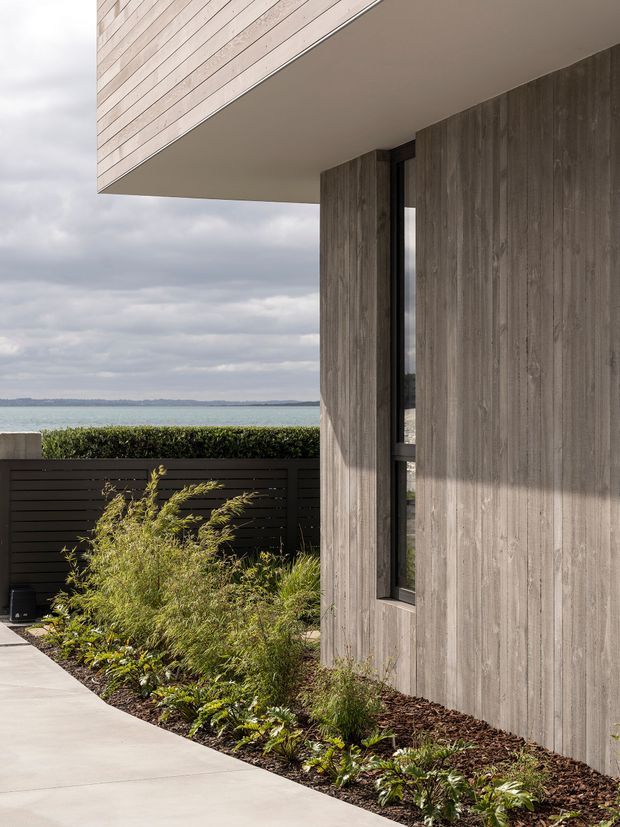 Exterior architectural photograph of a contemporary coastal residence, focusing on a cantilevered upper volume, smooth soffit, tall narrow glazing, and vertically textured grey cladding. A landscaped garden bed and paved walkway run alongside a dark horizontal-slat boundary fence, with open water visible beyond.