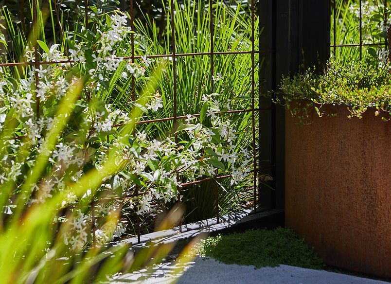 Westshore Coastal Garden