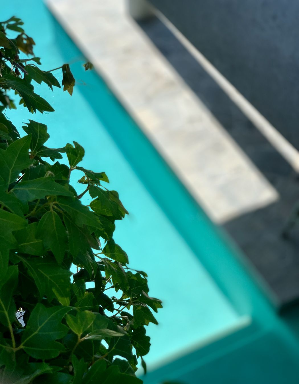 H-RESIDENCE-06.jpg
