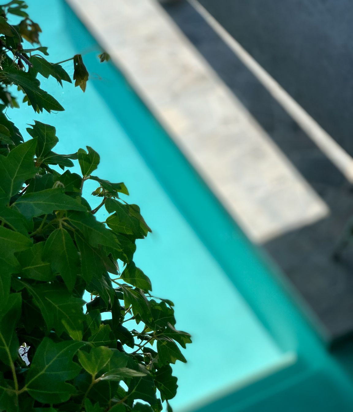 H-RESIDENCE-06.jpg