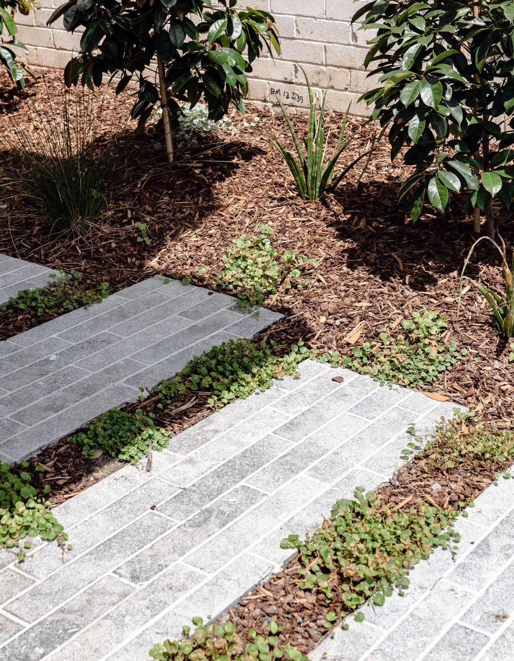 Port Kembla Beach House by Hewison Constructions