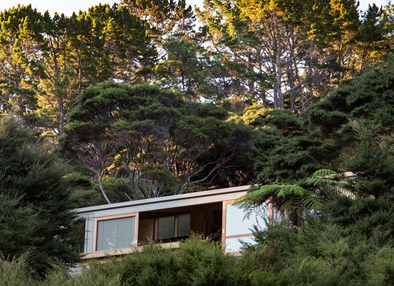 Motu Kaikoura