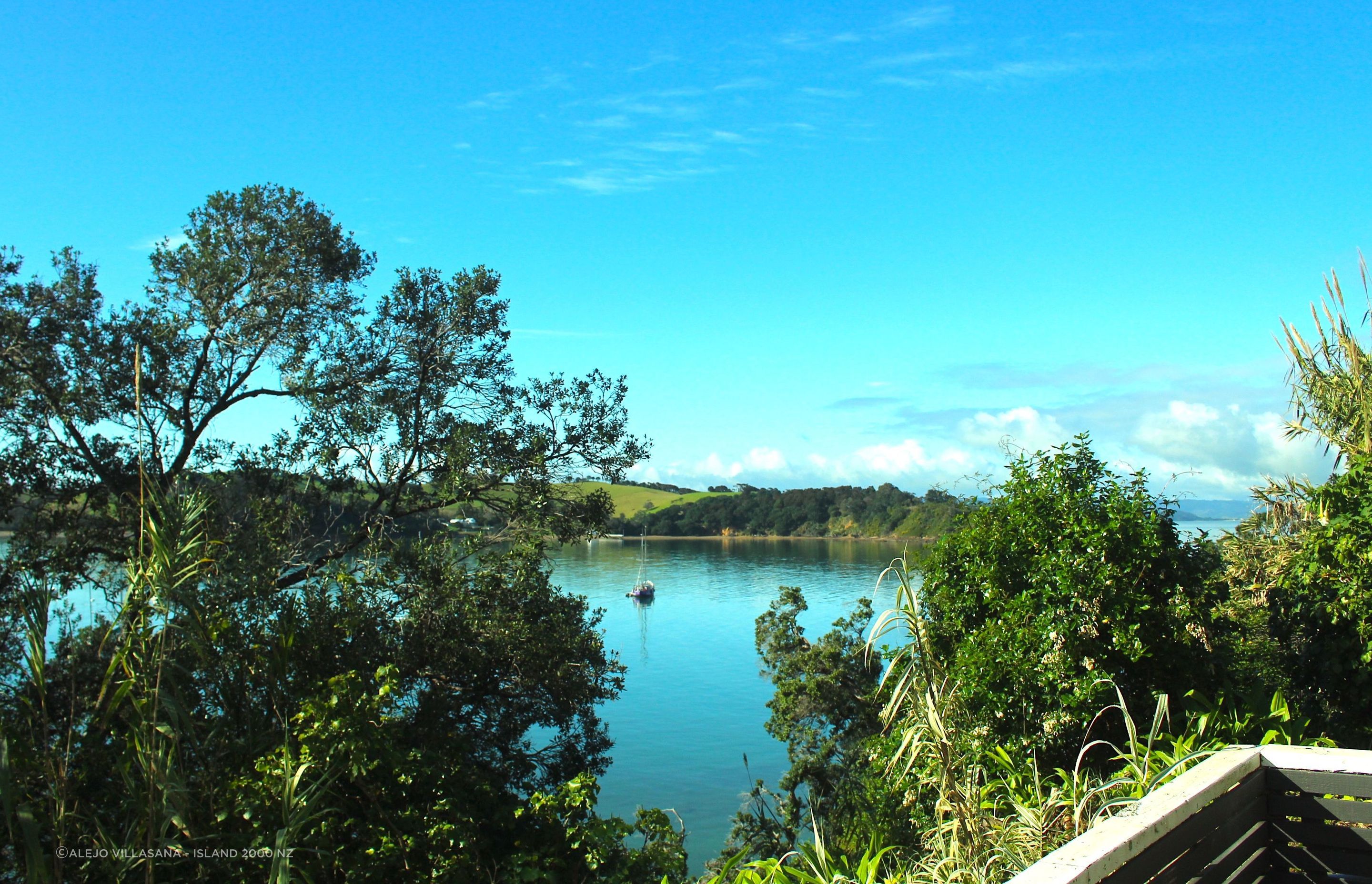 Pohutukawa, Omiha, Waiheke Island