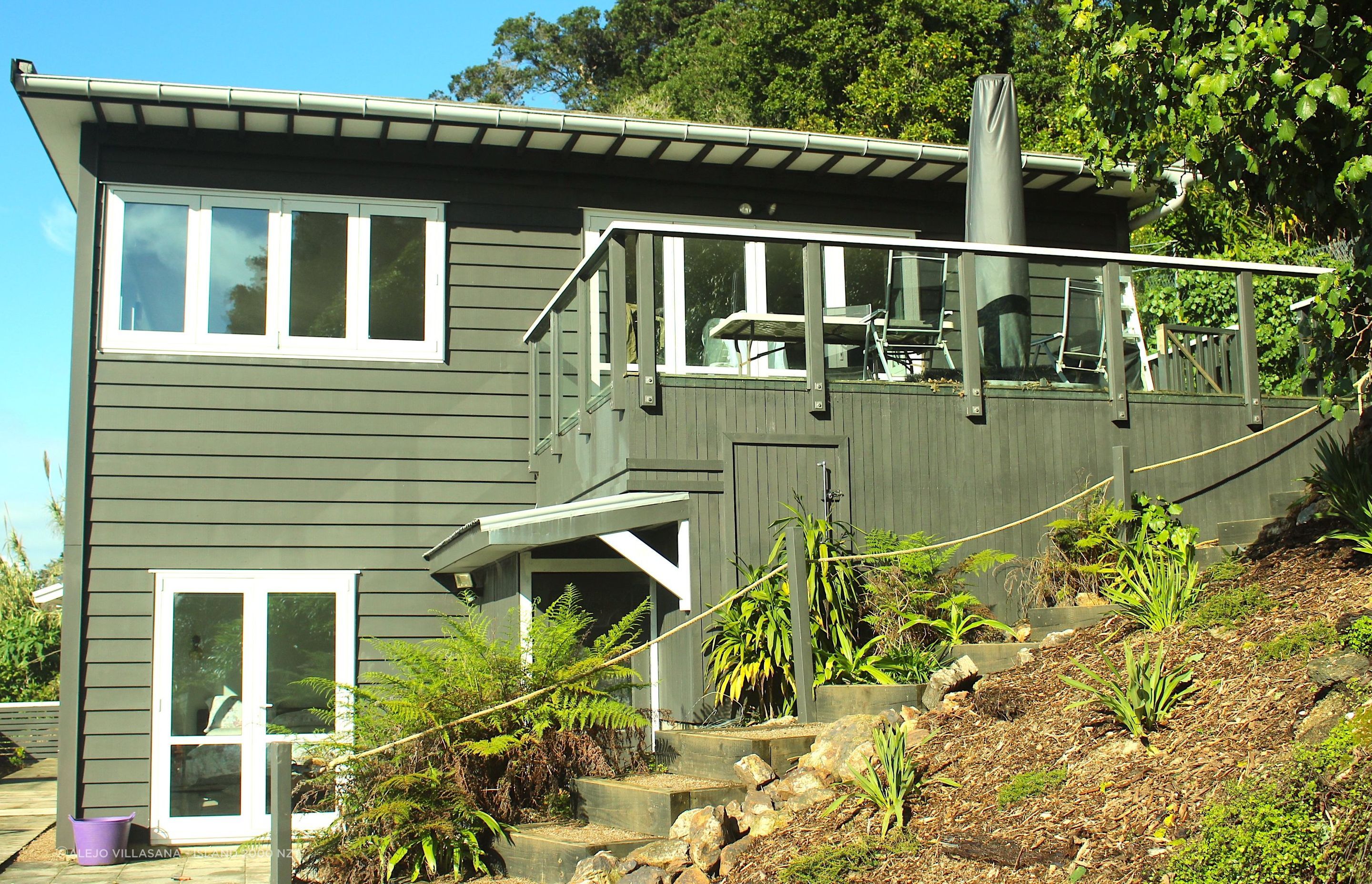 Pohutukawa, Omiha, Waiheke Island
