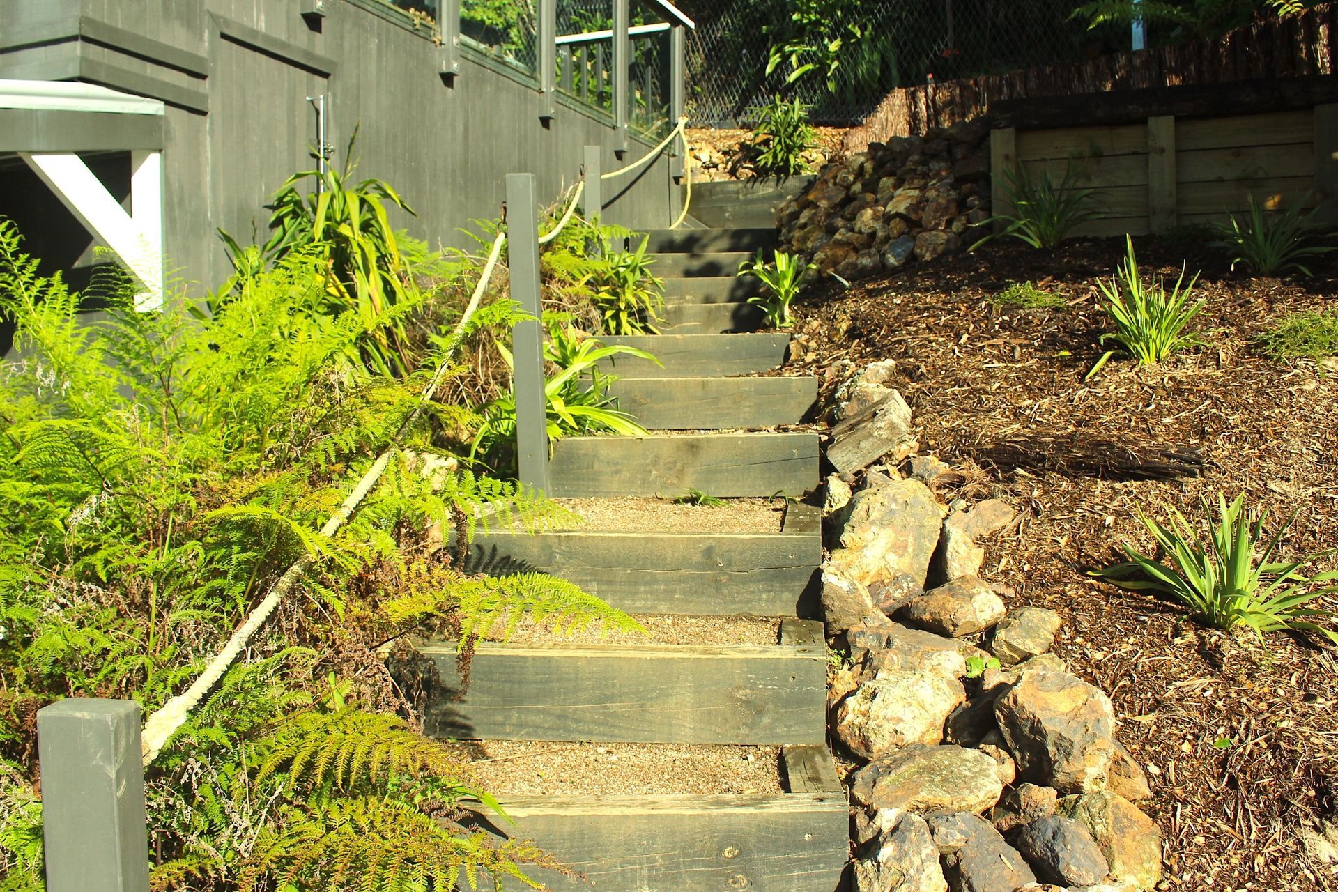 Pohutukawa, Omiha, Waiheke Island