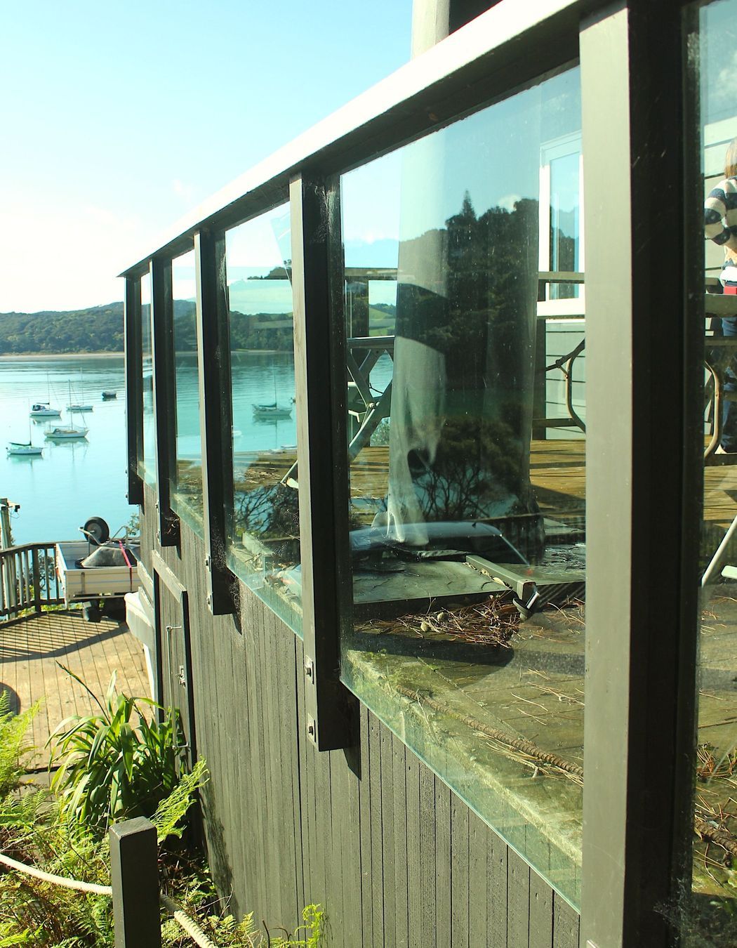 Pohutukawa, Omiha, Waiheke Island