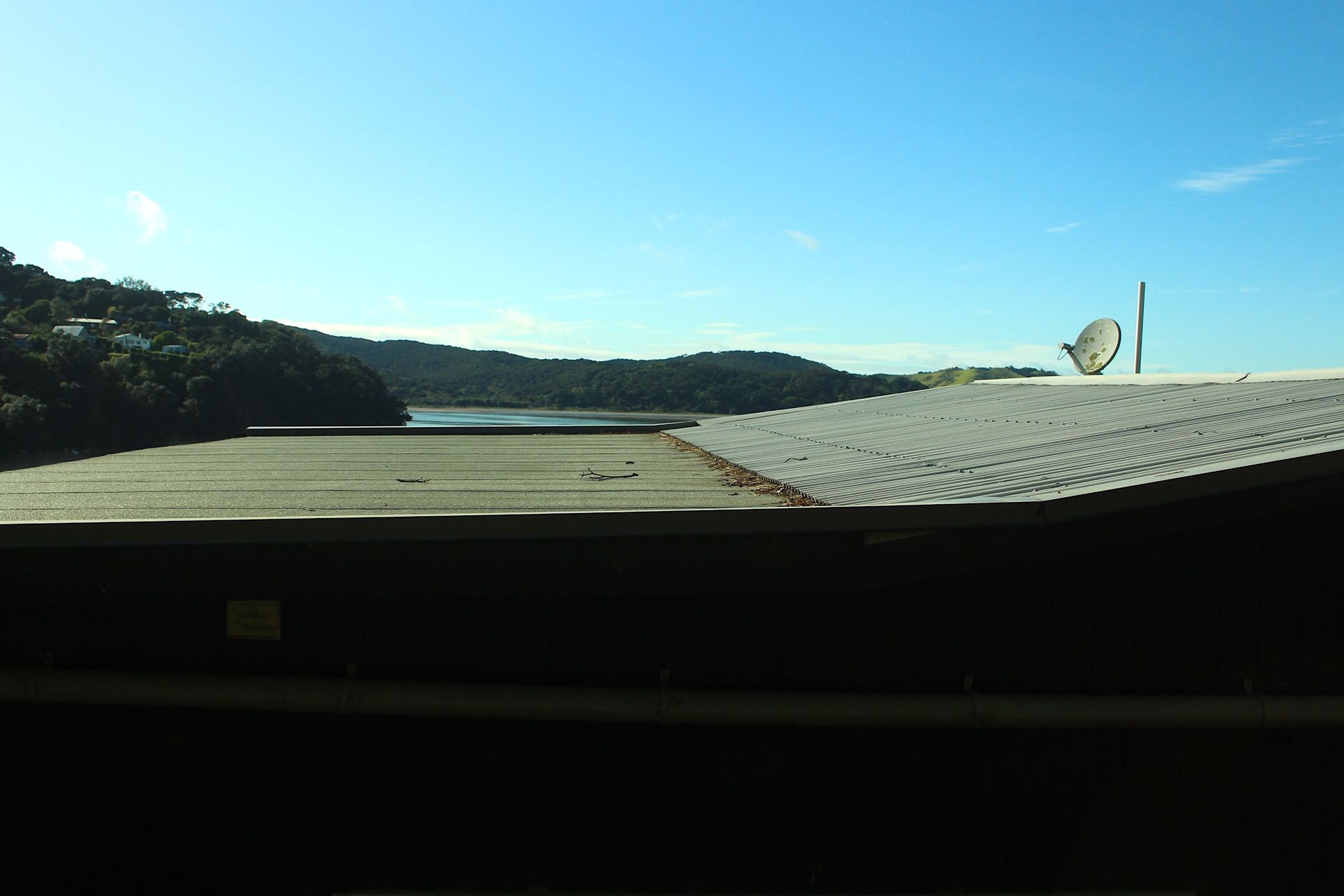 Pohutukawa, Omiha, Waiheke Island