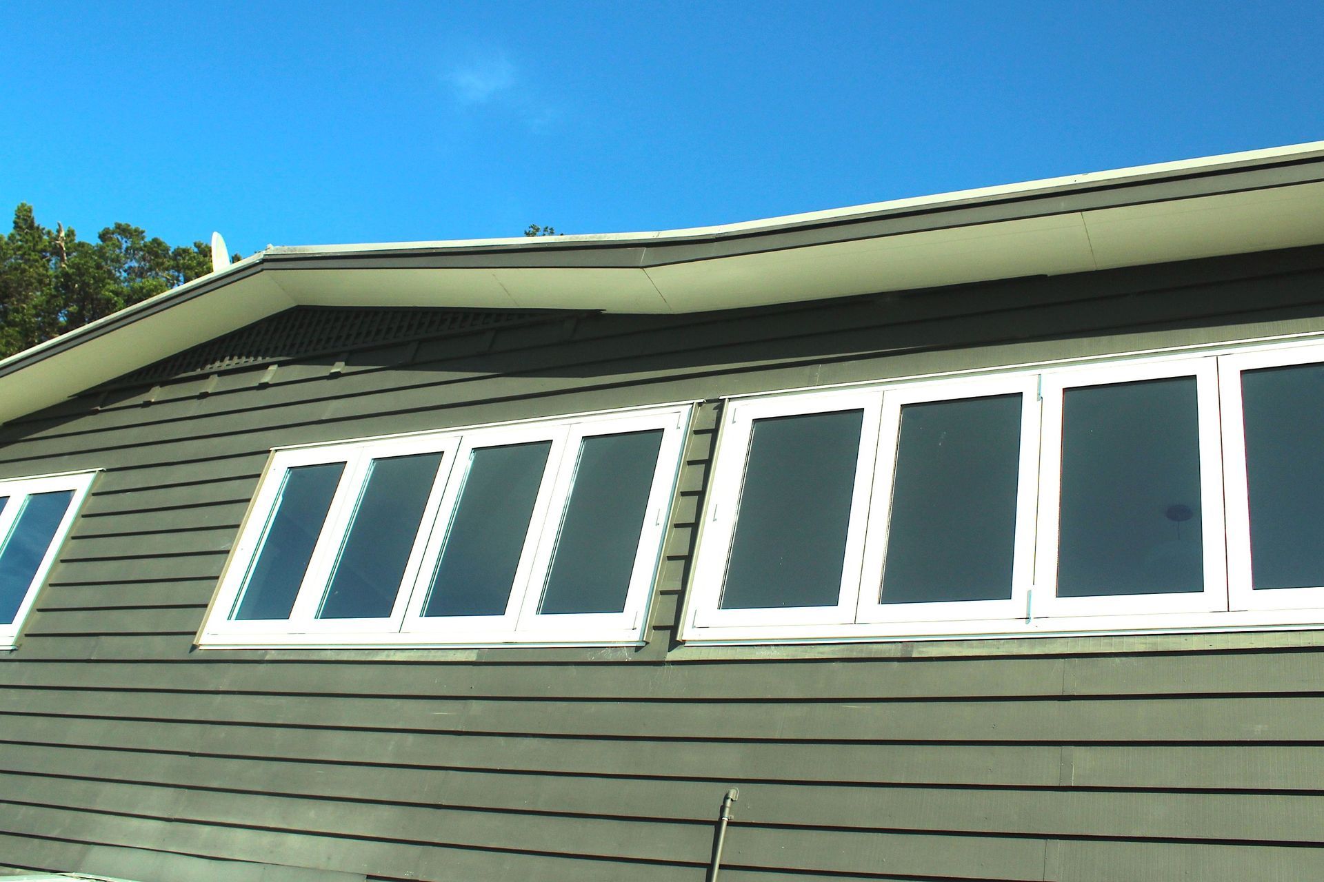Pohutukawa, Omiha, Waiheke Island