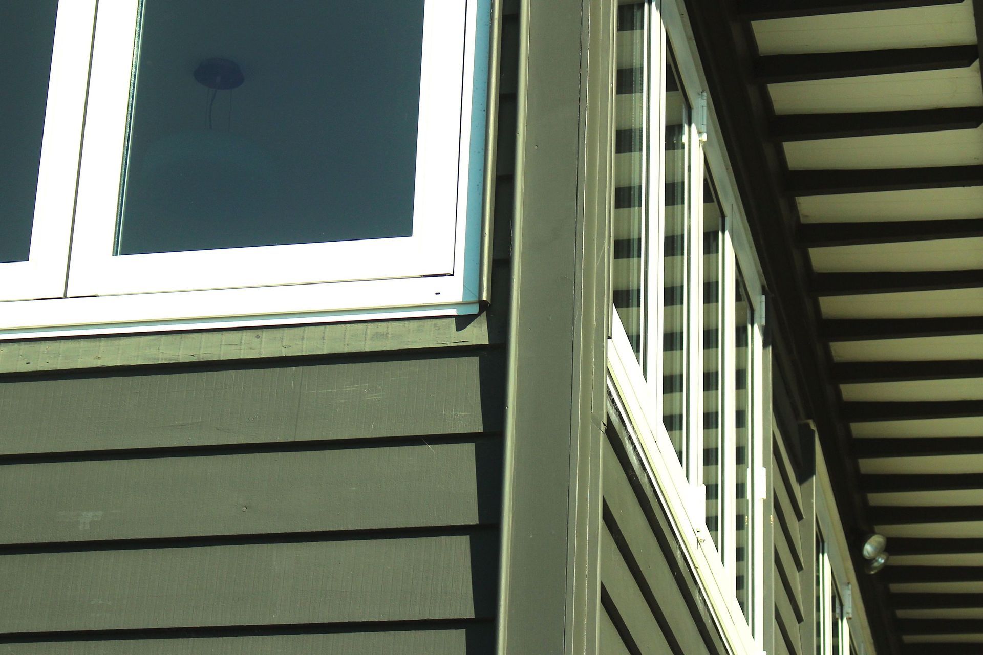 Pohutukawa, Omiha, Waiheke Island