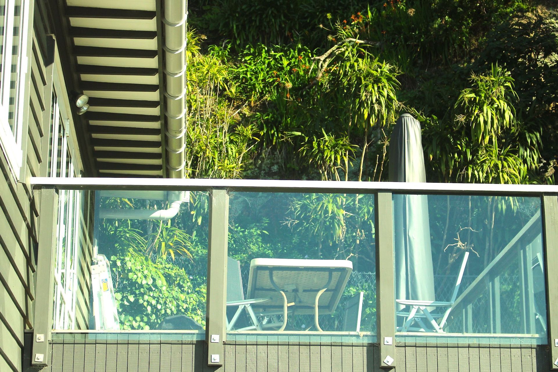 Pohutukawa, Omiha, Waiheke Island