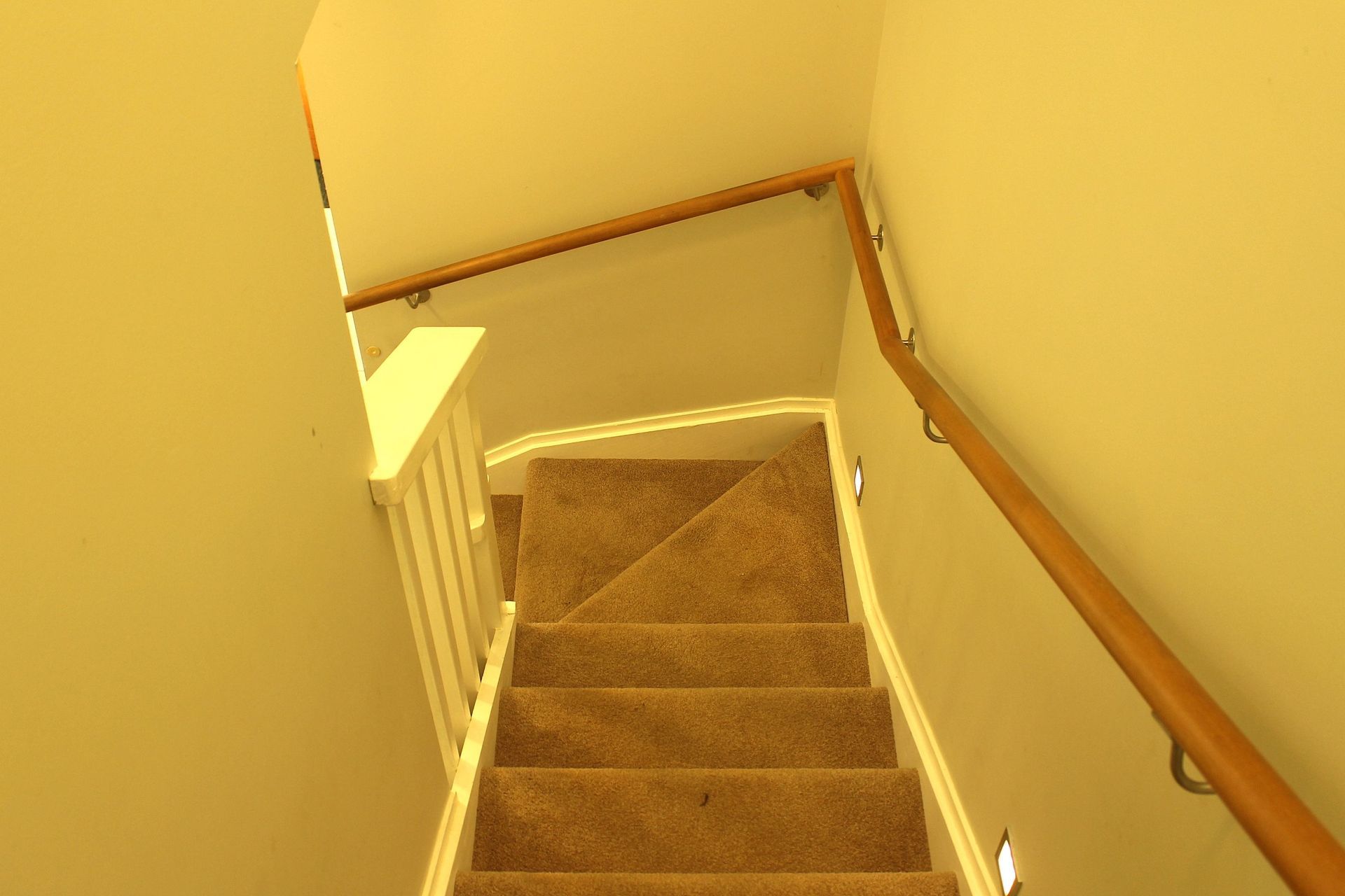 Pohutukawa, Omiha, Waiheke Island