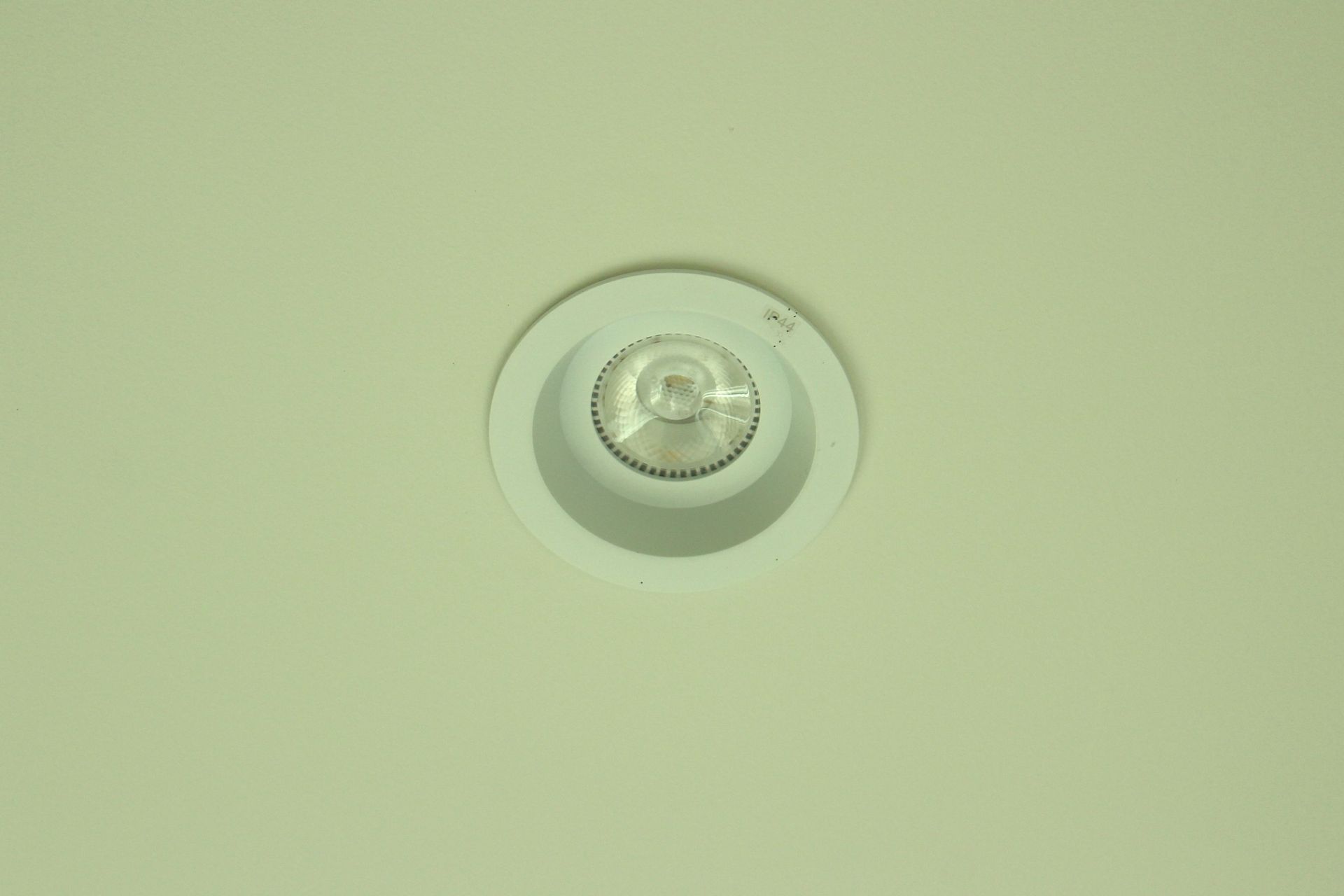 Pohutukawa, Omiha, Waiheke Island