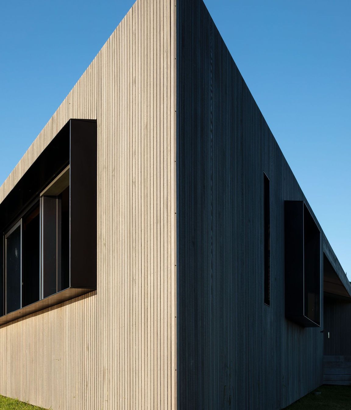 Project Timber: The Dart