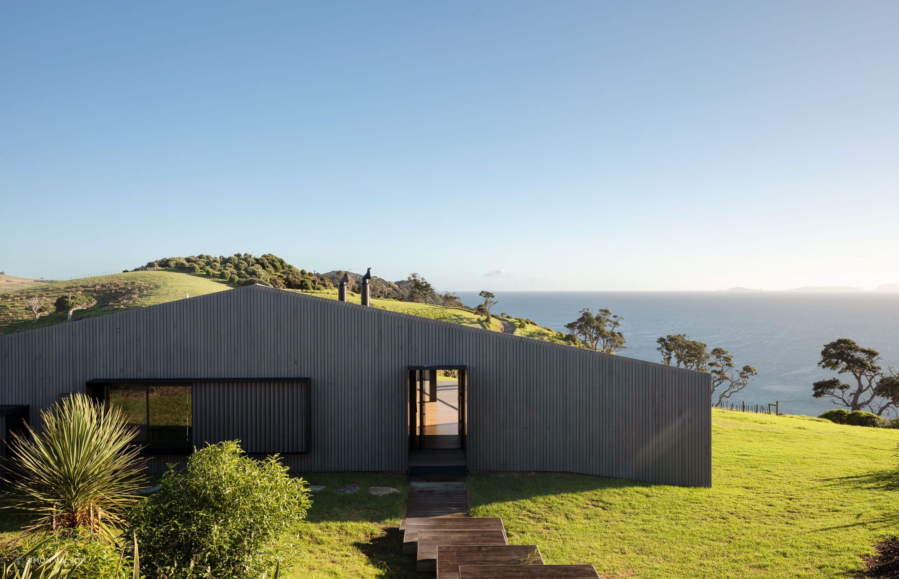 Project Timber: The Dart