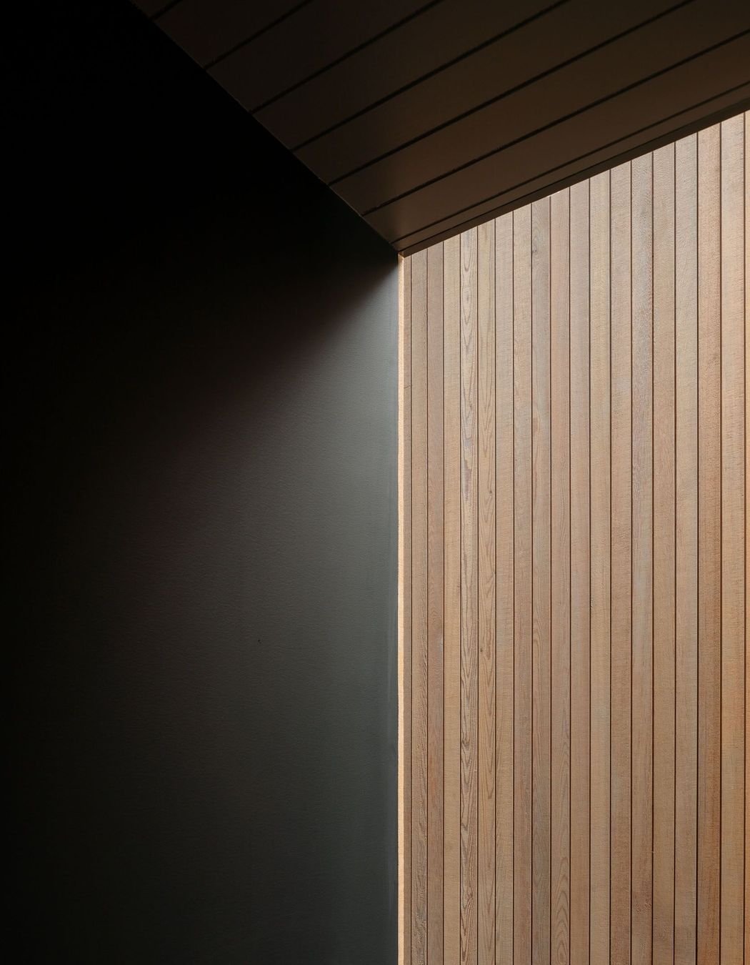 Project Timber: The Dart