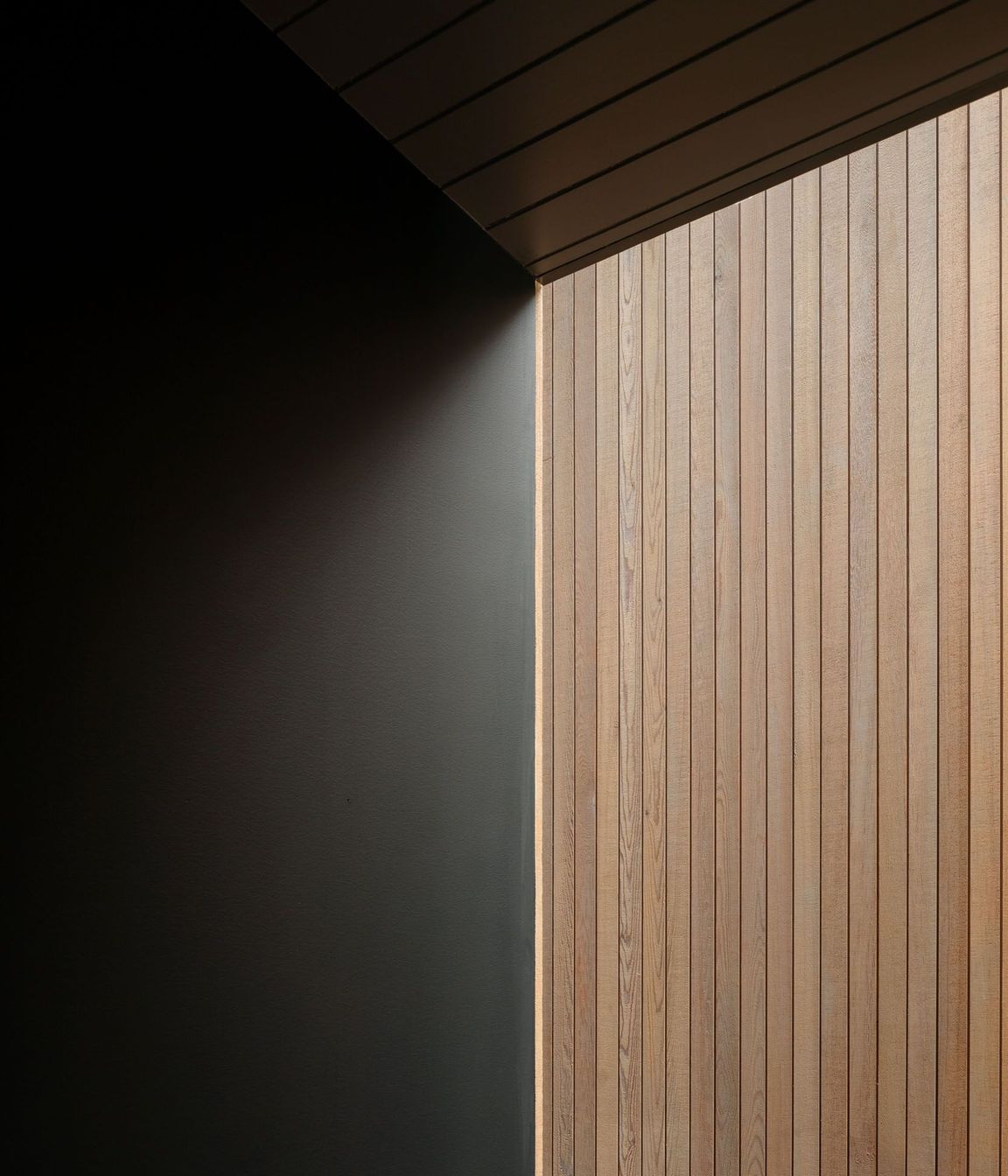 Project Timber: The Dart