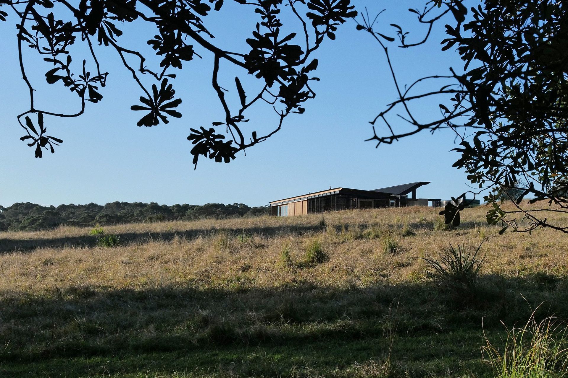 Mystery Bay, NSW (Axis i1000FS DS)