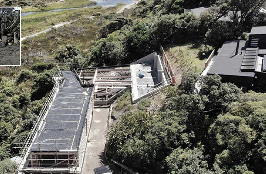 Karekare Beach Residence, Sand Dune Stabilisation